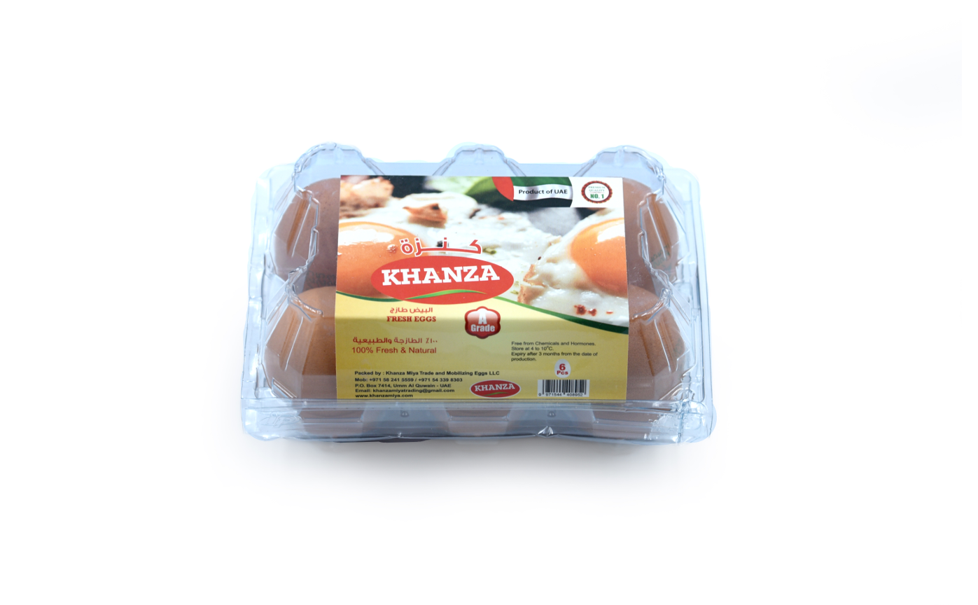 Kanza 6pcs Brown Eggs